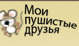 Главная страница
